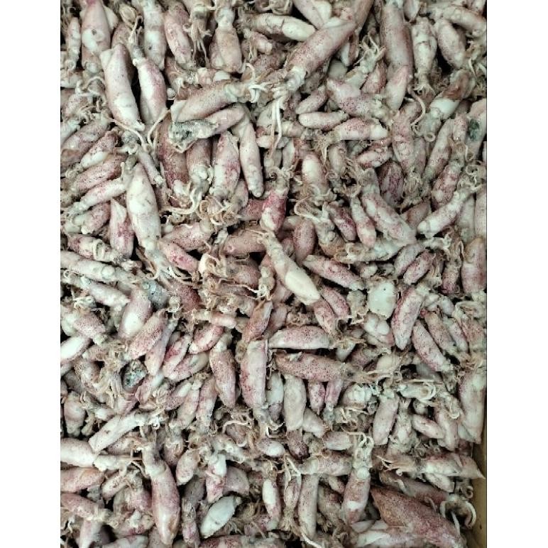 

Jw_12 Ikan Asin Cumi Rebus Baby Ukuran 1-2Cm Super 1000Gram, 500Gram, 250Gram -98