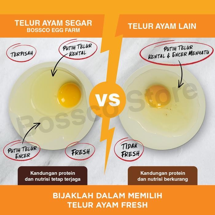 

ATS Telur Ayam Negeri Segar Grade A 30 butir ( 1tray ) telor ayam premium