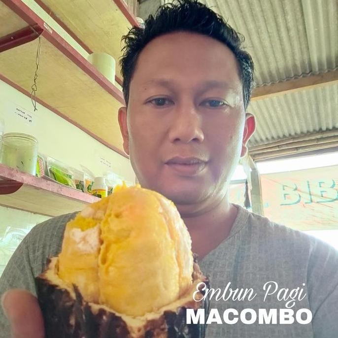 Bibit Buah Macombo Peaduan Rasa Durian Langka PREMIUM