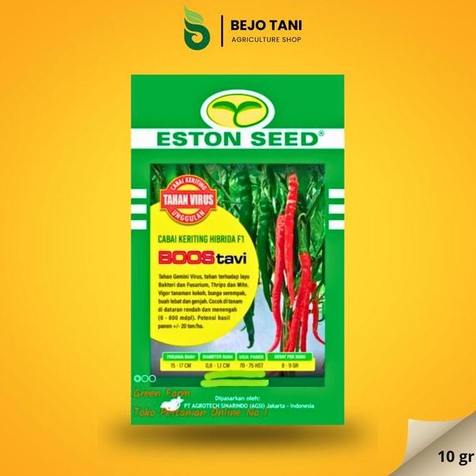 Cabe Keriting BOOS TAVI - 10 gr - Bibit CMK BOSS TAVI Buah Lebat PREMIUM