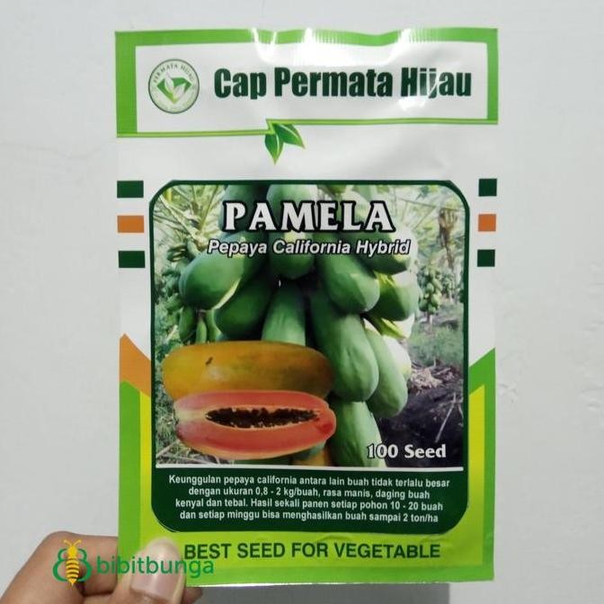 PREMIUM Pepaya California PAMELA F1 Hibrida Bibit Buah Calina IPB Unggul
