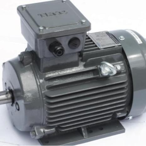 Dinamo Teco 30 Hp 22 Kw 4 Pole/ Elektromotor Teco 30 Hp 22 Kw 1500