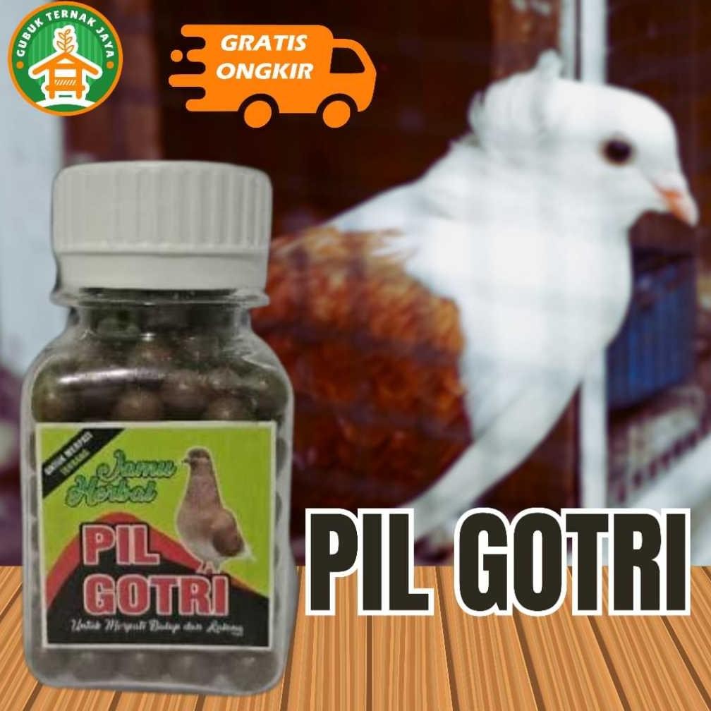 g-24 Cuci Gudang Isi 250 Butir - PIL GOTRI Jamu Herbal Merpati Terbang Balap atau Kolong - Gubuk Ter