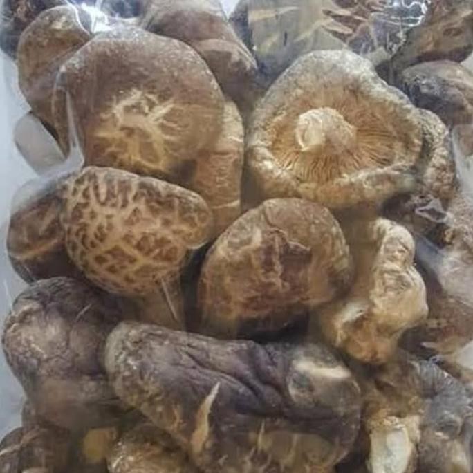 

Jamur Shitake (Hio Kow Kering) Tebel Dan Besar Kualitas Terbaik Harga Termurah