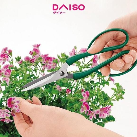 

Daiso Stainless Flower Scissors 200Mm Terlaris