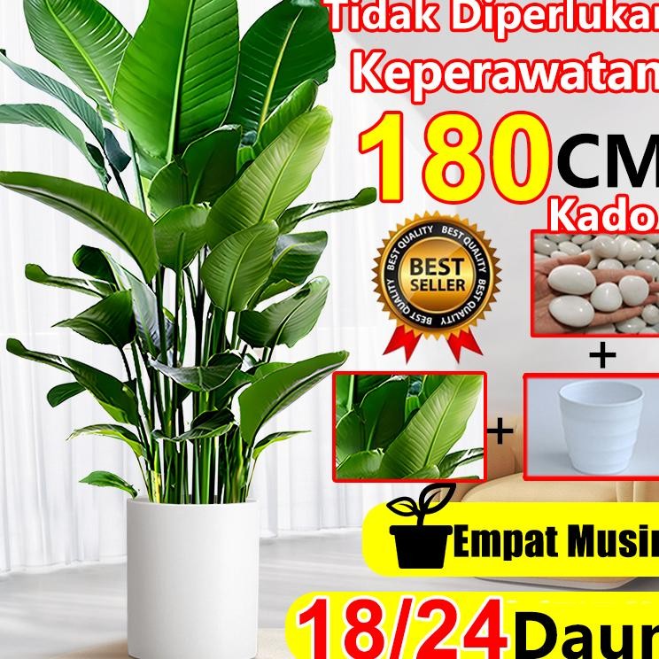 2025Daun Palem Plastik Pohon Pisang 180Cm 1824 Daun Artificial Bunga Dekorasi Rumah Hiasan Ruang Tam