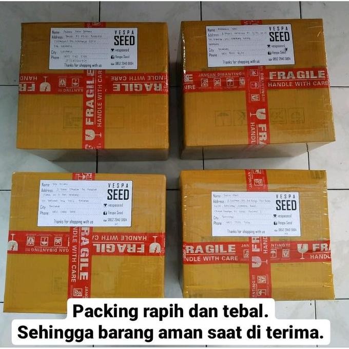 Spakbor Vespa Dolphin VGLA VGLB