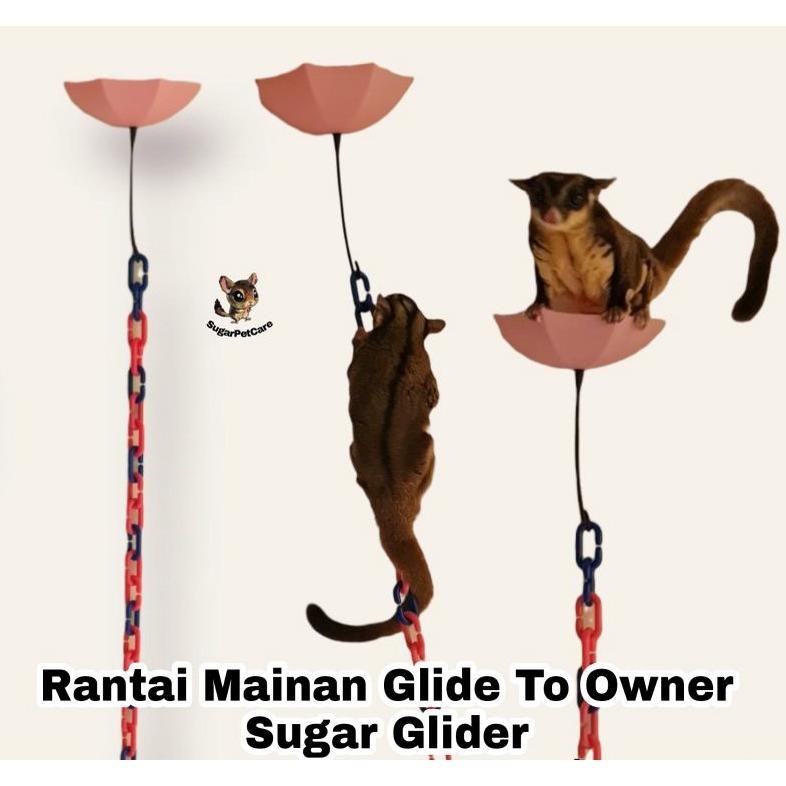 Rantai Mainan Glide To Owner Sugar Glider MURAH