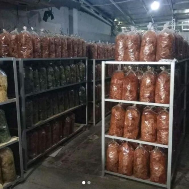 

RPS Mulya Snack Keripik Kaca Pedas Daun Jeruk 1 Kg / Kripik Kaca Pedas 1 Kg Kering Singkong Food