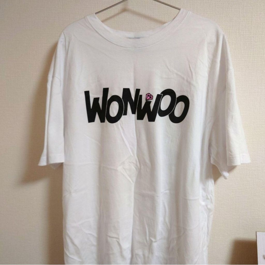 [READY STOCK] OFFICIAL T-SHIRT NANATOUR WONWOO NAME VER. SEVENTEEN