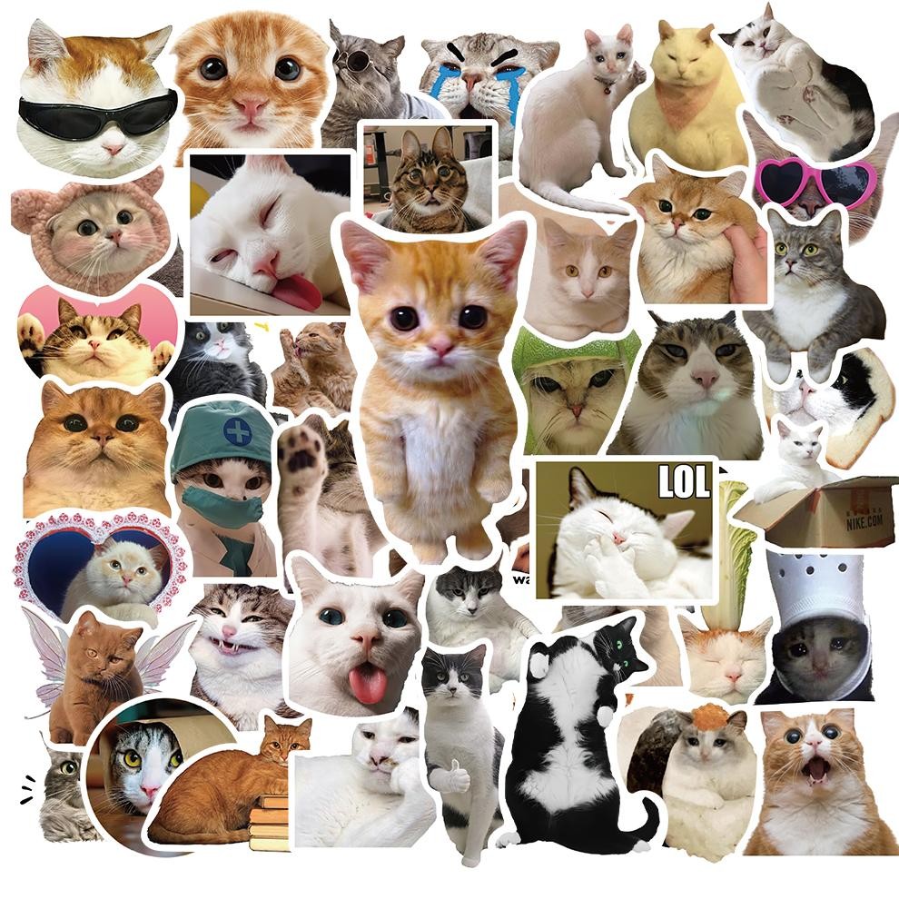 

NG [50PCS] Stiker Kucing Lucu Vinyl Anti Air Kucing Lucu Decal Vinyl Anti Air- Sticker Aesthetic Buku Journal Koper Casing HP Tablet Laptop Helm Motor Viral Kekinian Terbaru 2025 EW-53