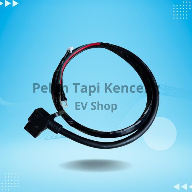 Terlaris Kabel Baterai Phylion 48V Ready