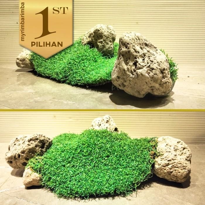 RA Paket Isi 2 Iwagumi Island (M) Tanaman Plastik Hardscape Aquascape Hiasan Aquarium Ikan Hias