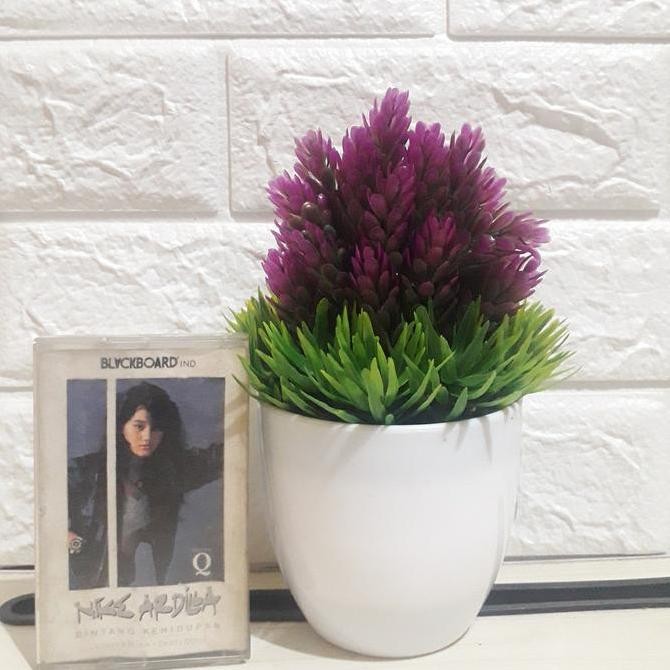 Kaset Pita Nike Ardilla Bintang Kehidupan Kualitas Terbaik Harga Termurah