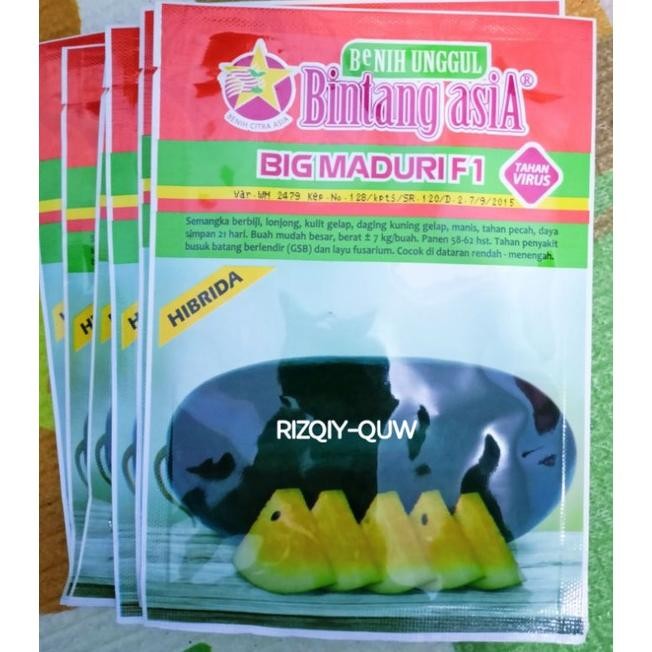 BIG MADURI f1/BENIH SEMANGKA/BENIH INUL/BENIH SEMANGKA KUNING/20 gram.