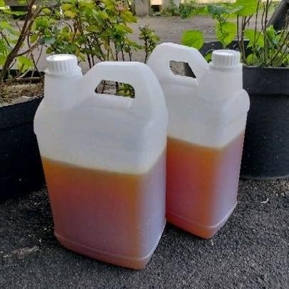 

(Terbaru) Madu Curah Hutan Sialang Premium 5kg (Terlaris)