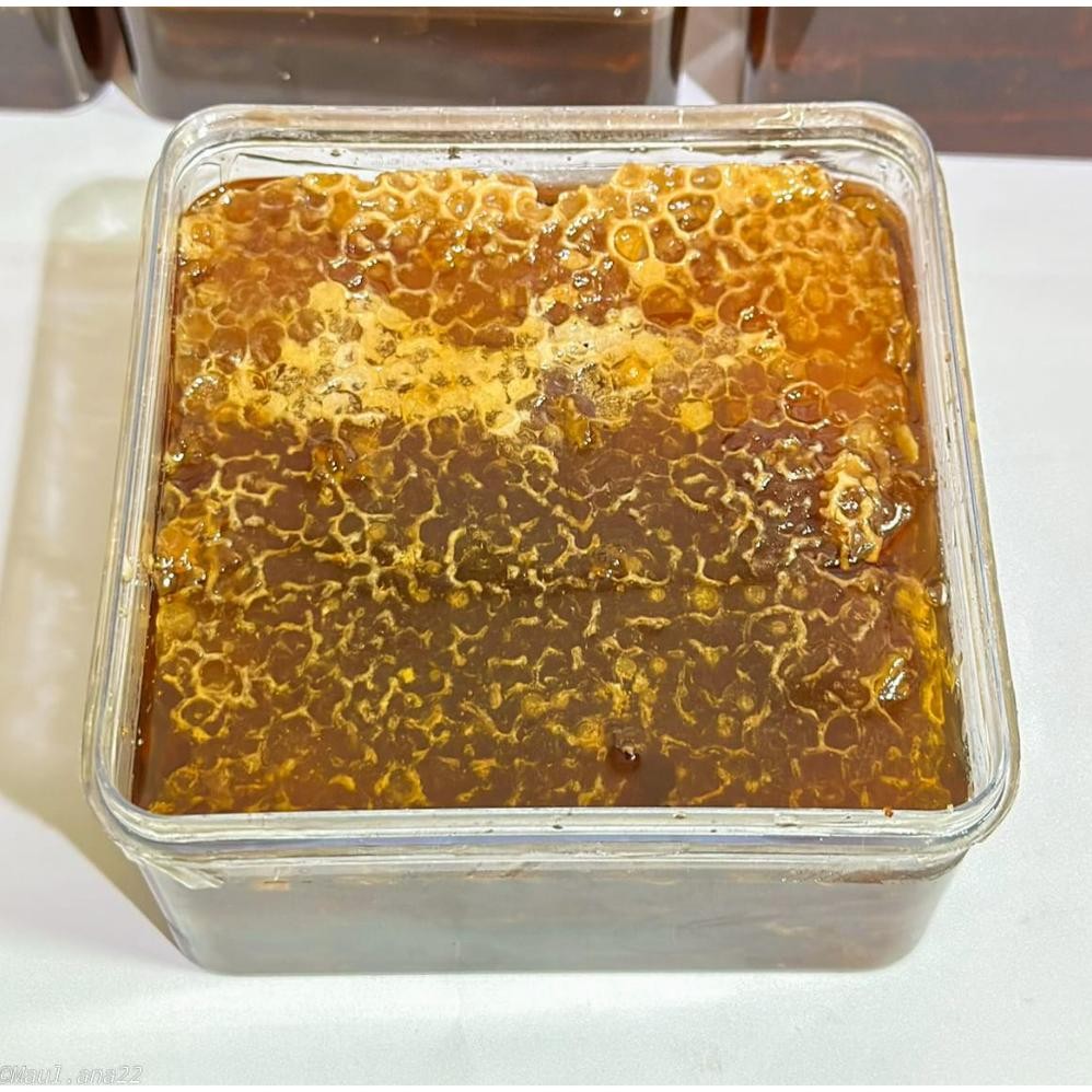 

(Terbaru) Madu plus sarang asli turki 300gr (Terlaris)