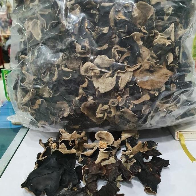 

Jamur Kuping Organik....