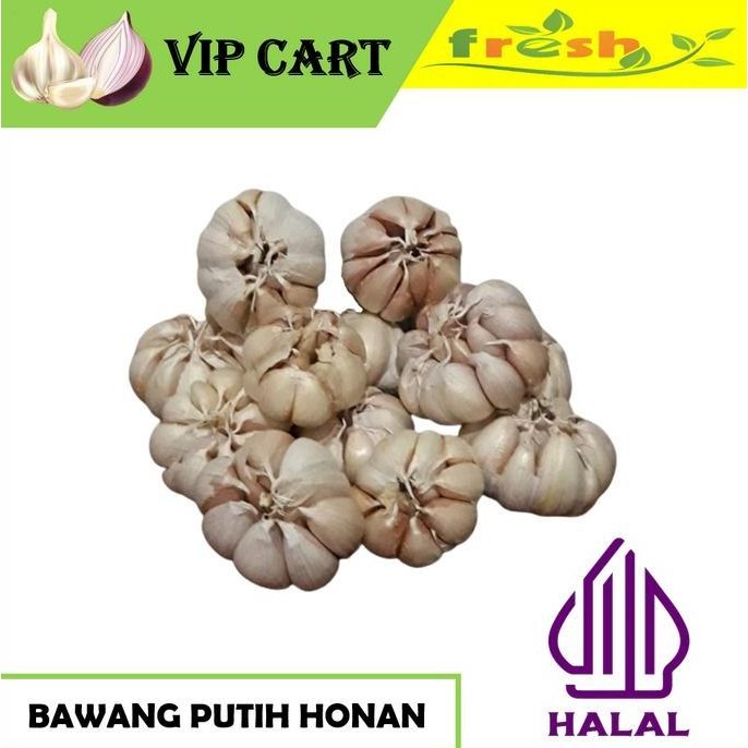 

JH8 BAWANG PUTIH HONAN DAN BAWANG PUTIH KATING - BAWANG FRESH