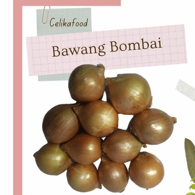 

JH8 Bawang Bombai 500 gr Bombay Putih Onion Bumbu Rempah Alami Masakan