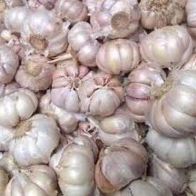 

JH8 Bawang Putih Murah Putih dan Bersih KATING dan HONAN