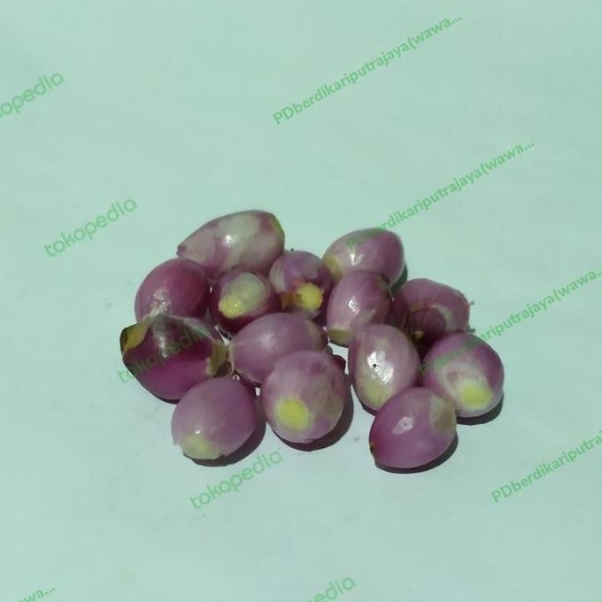 

JH8 bawang merah kupas fresh