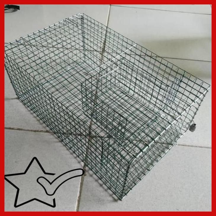 [TKR] PERANGKAP TIKUS MASSAL JEBAKAN TIKUS MASSAL PERANGKAP TIKUS JUMBO