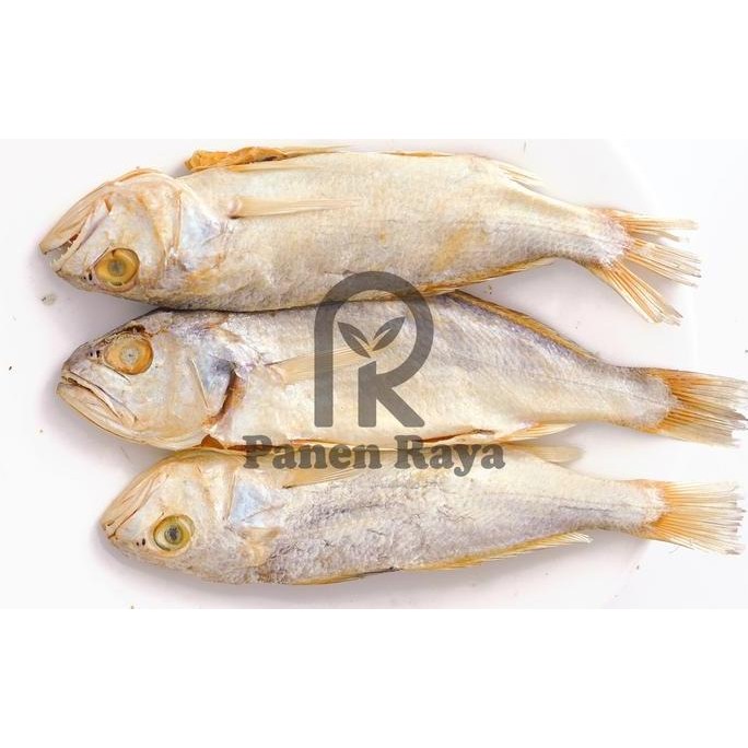 

JH8 Ikan Asin Sileman Pasuruan