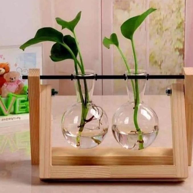 Pot Kaca Gantung Bening Transparan Pot Tanaman Hias Air SM