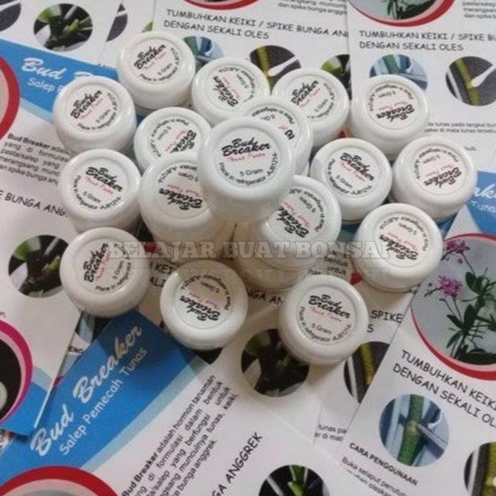 Bud Breaker 5 Gram Penumbuh Tunas Anggrek