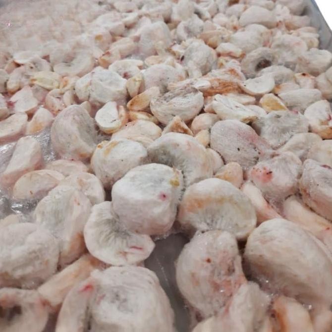 

Snack Buah Manggis Freeze Dried Mangosteen Fruit Camilan Diet Sehat