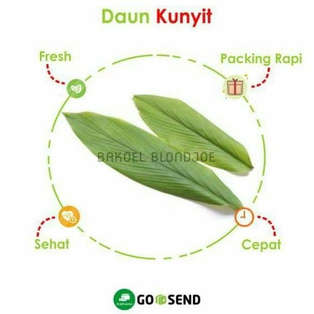 

(Allthebest) PROMO 50 lembar Daun Kunyit Godong Kunir Sayur Segar Sayuran Fresh