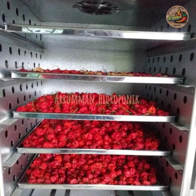 

(Allthebest) BUBUK Cabe Super Pedas Carolina Reaper Powder isi 1,5 gr