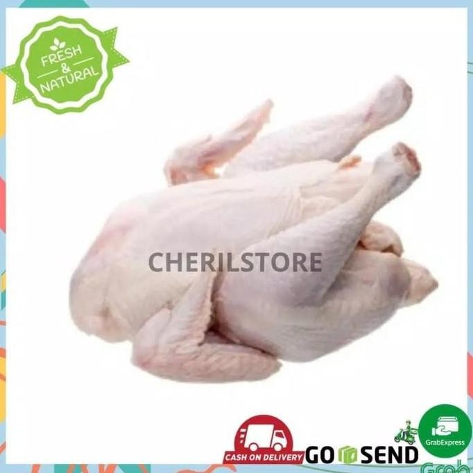 

(Allthebest) AYAM SOTOAN FRESH