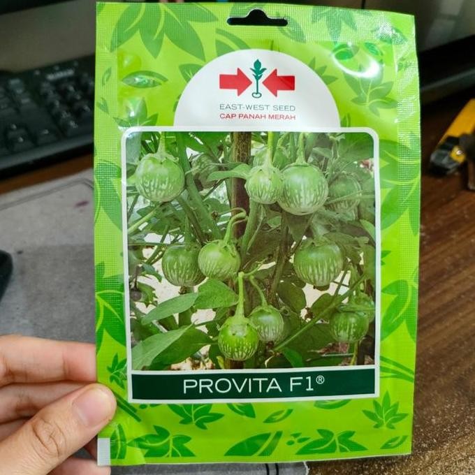 Benih Terong Hijau Lalap Provita - Benih Terong Lalap - Bibit Terong