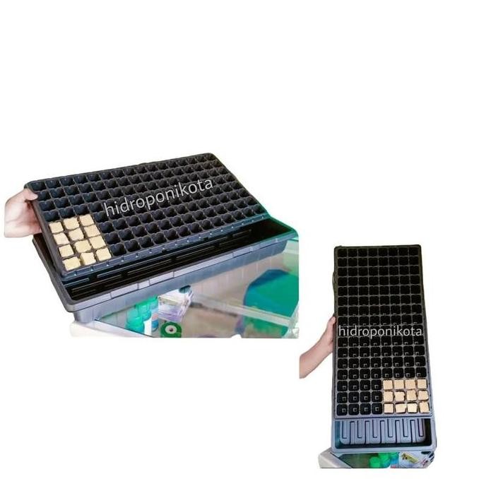 Tray Semai Tanaman Lubang 162