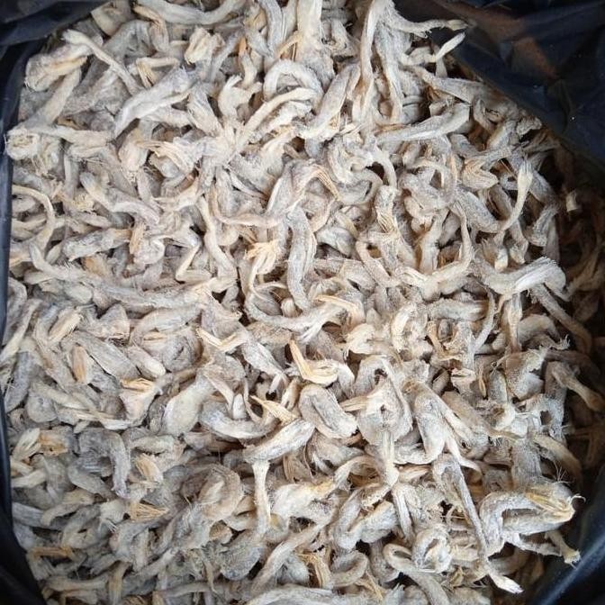 

Ikan Asin Jambrong / Siting / Siteng Kasar 100 Gr