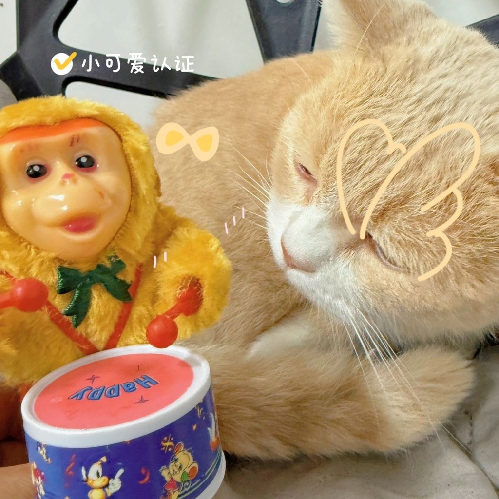 Mainan Drum Plush Monyet Kecil yang Dapat Dijalankan/Tidak memerlukan baterai