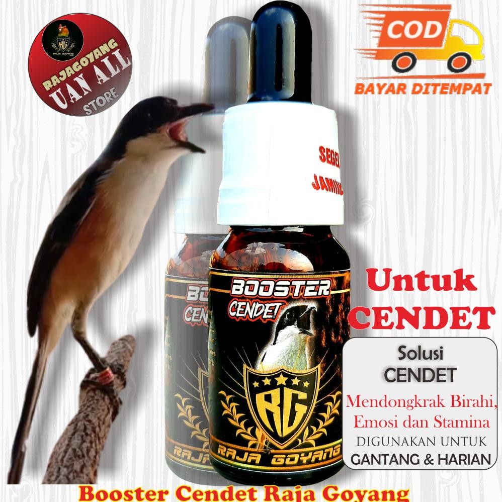 RAJAGOYANG - Booster Cendet Vitamin Burung Cendet RG Doping Cendet Juara Cendet Fighter - Doping Bur