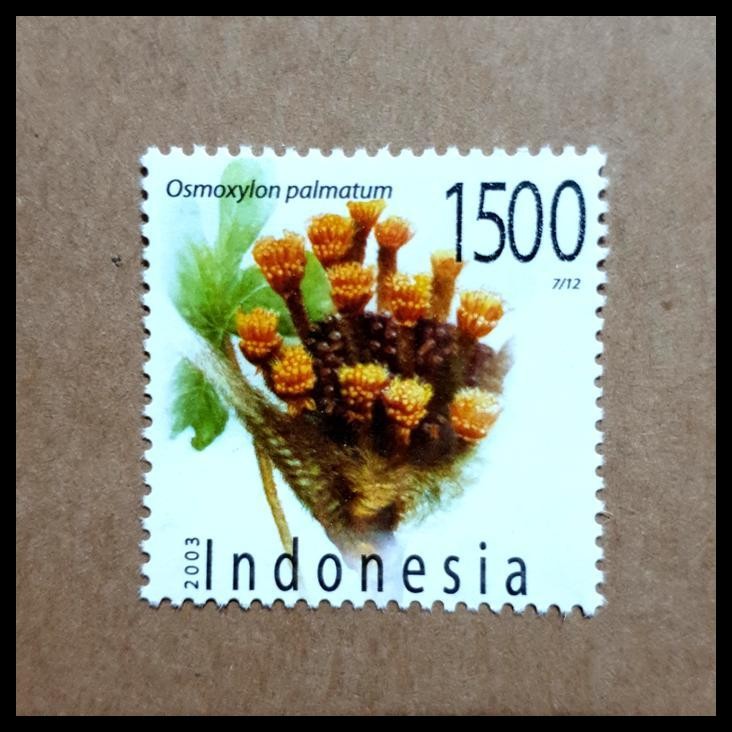 

HOT DEAL PRANGKO INDONESIA. FLORA OSMOXYLON PALMATUM ~ TANAMAN MAKANAN & OBAT