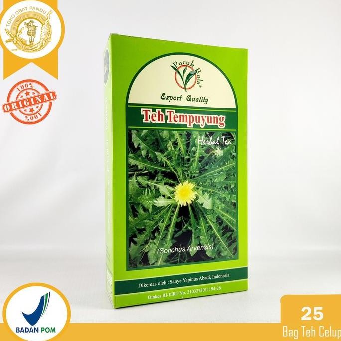 

TEH TEMPUYUNG / PUCUK BOLA / TEH DAUN TEMPUYUNG