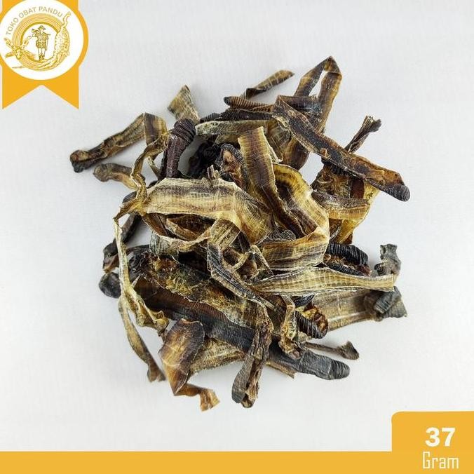 

CACING KERING (20 GRAM) / DILONG / TILUNG / OBAT DEMAM / OBAT TYPHUS