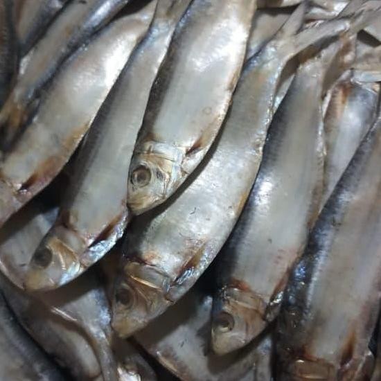 

Ikan Tembang Asin Sisik/Ikan Tembang Daging Merah/Ikan Asin