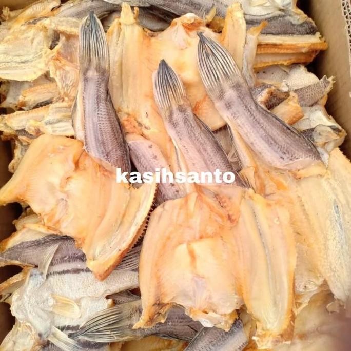 

Ikan Asin Gabus Kolam-1Kg
