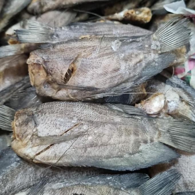 

Ikan Asin Sepat Besar / Sepat Jumbo 500Gram