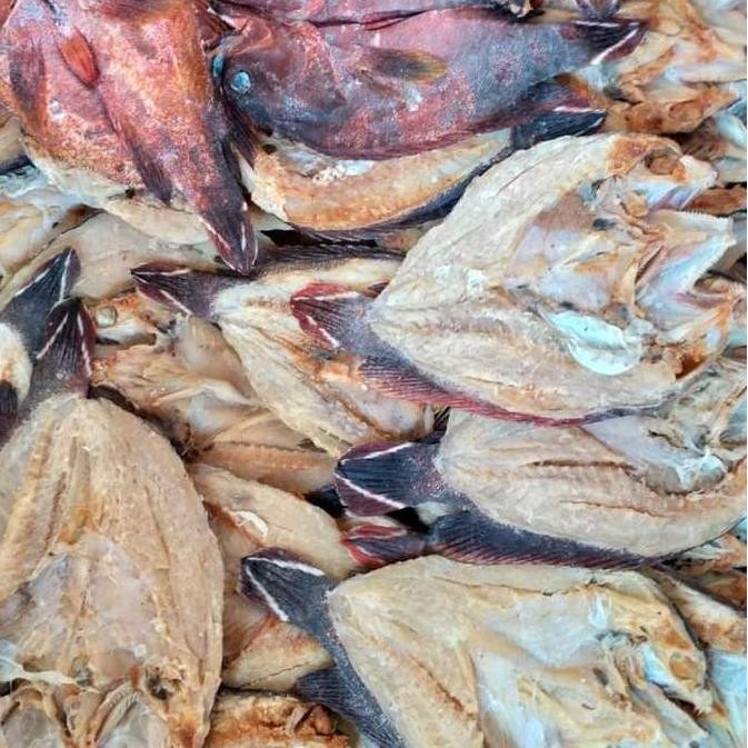 

Ikan Kering Asin Sunu Kerapu 1 Kg Khas Kepualauan Selayar