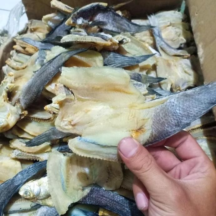 

ikan asin gabus super murah 1 kg Kering Food