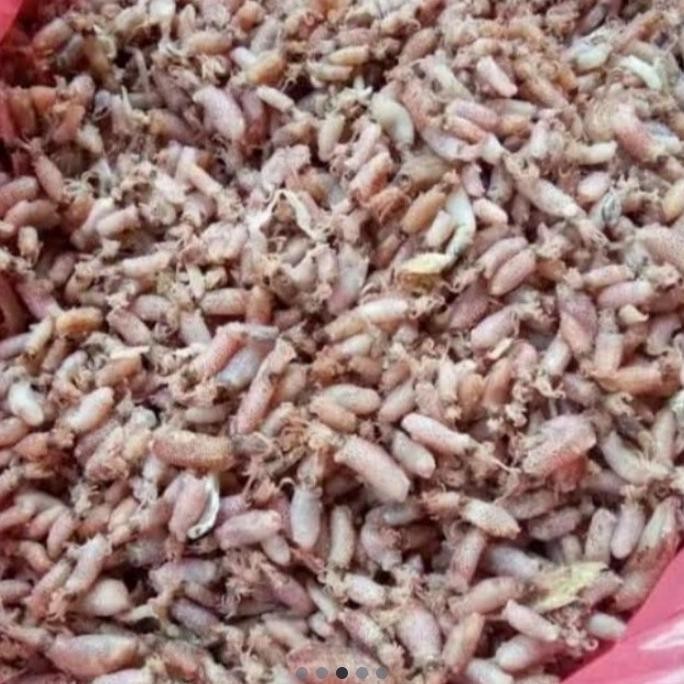 

ikan asin cumi baby/ alus/ kering/ renyah/tanpa bubuk/anak cumi 250 gr
