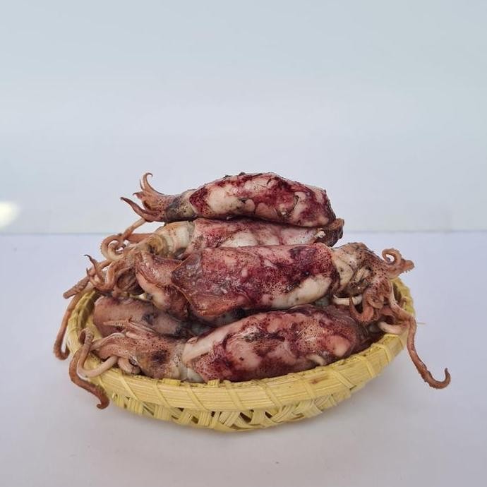 

Ikan Asin Sotong / Cumi Asin / Suntung Kemasan Murah (500 gr)