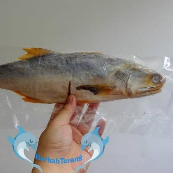 

Terlaris! Ikan Asin Kuro Wangi Super gr
